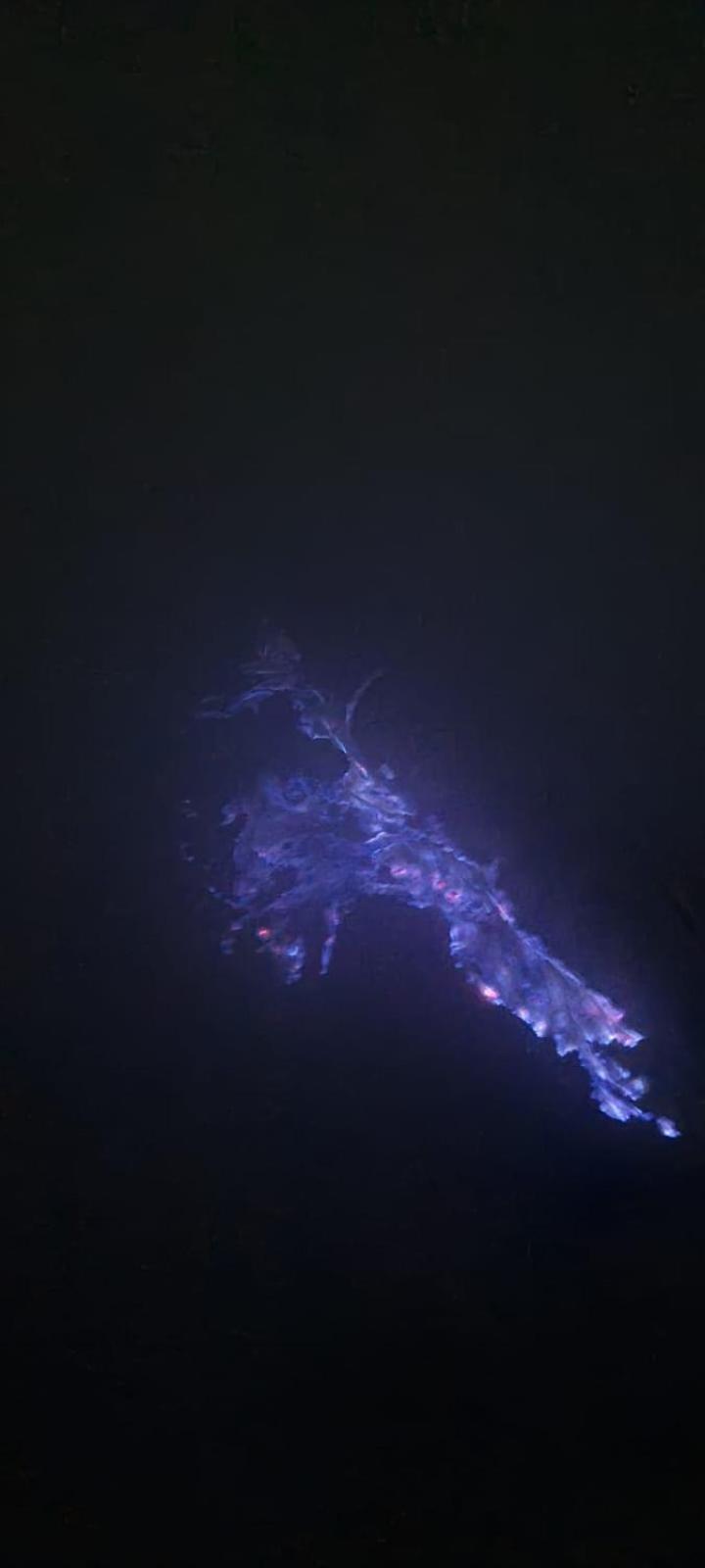 Отель Ijen Transito Ketapang  Экстерьер фото